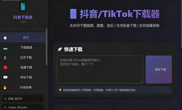 图片[1]-[Windows] 全能一站式抖音视频下载 TikTok抖音下载神器v1.0 便携版-分贝虎-免费网站源码_免费软件_免费精品资源分享平台!